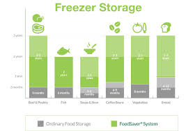 General Questions Foodsaver