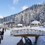Discover Kashmir Tour N Travels from m.facebook.com