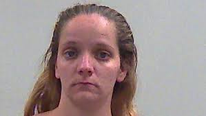 Shoplifting suspects' car crashes into home