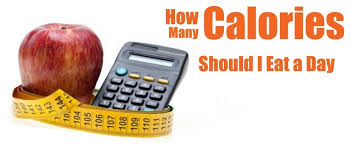 For the second form will assume that she is willing to give up 800 calories per day of her diet. Web Calculator Of Calories How Many Calories To Eat Per Day Calculoid Com