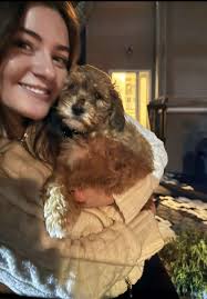 Dog Sitter Available in Rockland County