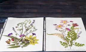 What a wonderful idea for a gallery wall too. Pressed Flower Art So Easy With Beautiful Results