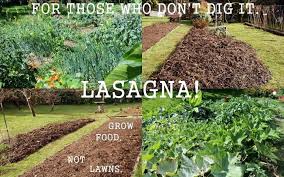 How To Make A Lasagna Garden Lasagna Gardening Garden Soil Dig Gardens