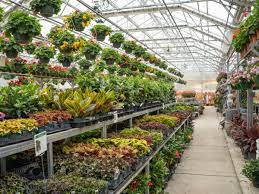 Hours may change under current circumstances Home Klein S Floral Greenhouses