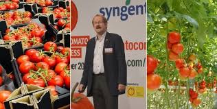 Gardening starter set for growing unusual tomatoes; Tomato Cultivation Grows Faster In North West Europe Than In The South