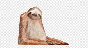 Find images of cartoon animals. Sloth Hand Painted Sloth Cartoon Sloth Drawing Sloth Png Pngwing