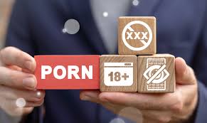 Commentary: Civil liberties advocates raise red flags as Missouri  legislature weighs age-verification mandates for adult websites