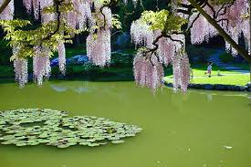 See reviews and photos of gardens in seattle, washington on tripadvisor. Horticulture Parks Seattle Gov