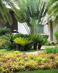 Paisagismo Para Comecar Bem O Dia Tropical Landscaping Tropical Backyard Landscaping Tropical Garden Design