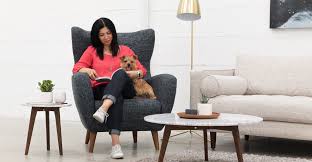Blue Accent Chair Mod Blue Berry Armchair Article In 2020 Blue Accent Chairs Blue Armchair Green Armchair