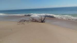 Visiting Cape Hatteras in Outer Banks, North Carolina