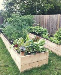 Diy Easy Access Raised Garden Bed Building Raised Garden Beds Backyard Raised Garden Building A Raised Garden