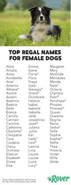 So when you name your dog with such names probably she would out stand from all other cuties in your area. 142 Best Regal Dog Names Of 2019 With Popularity Female Dog Names Puppies Names Female Dog Names