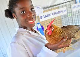 Flipping out and other local photos