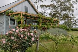 Check spelling or type a new query. Contact Zig Zag Road Winery