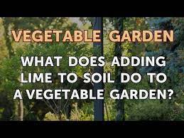 When to apply lime to vegetable garden. What Does Adding Lime To Soil Do To A Vegetable Garden Youtube