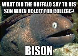 Without further ado, we're going to kick it into high gear with these jokes that are guaranteed to tickle your funny bone. 50 Best Question And Answer Jokes 50 Best