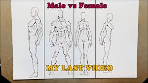 This post is part of a series called learn how to draw. Male Vs Female Anatomy My Last Video Youtube