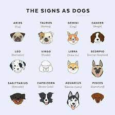 Zodiacsigns Aries Taurus Gemini Cancer Lea Virgo Libra Scorpio Sagittarius Capricorn Aquari Zodiac Signs Aquarius Zodiac Signs Animals Zodiac Signs