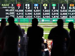 how to calculate horse racing betting odds and payoffs