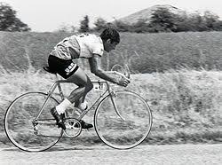 Raymond poulidor died on 13 november, aged 83. Raymond Poulidor Wikipedia
