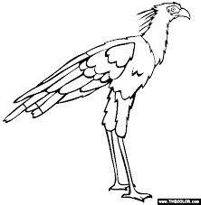 Birds play a major role in our lives, whether we realize it or not. Secretary Bird Coloring Page Free Secretary Bird Online Coloring