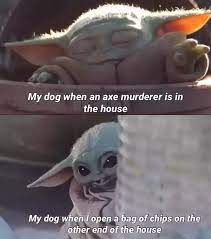 Baby Yoda Dump In 2021 Yoda Funny Yoda Meme Yoda