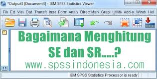 Cara Menghitung Se Dan Sr Dalam Analisis Regresi Linear Berganda Spss Indonesia