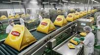 “Inside a Mega Tea Factory: How Fresh Tea Leaves Become Packaged Tea Bags”