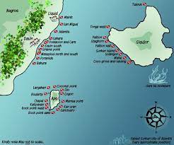 Philippines Dumaguete Diving Apo Quantity Of Fish At Apo Is Mind Boggling Dumaguete Phillipines Diving