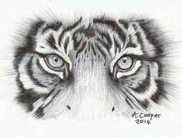 49 Trendy Eye Tattoo For Women Tiger Tiger Eyes Tattoo Tiger Tattoo Design Tattoos