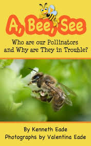 Once the children have finished pollinating the flowers, then can bring the nectar they collected here, to the honey bee factory. A Bee See Who Are Our Pollinators And Why Are They In Trouble Children S Book About Bees Kindle Edition By Eade Kenneth Eade Valentina Children Kindle Ebooks Amazon Com