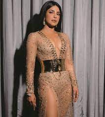 Priyanka chopra/instagram) priyanka has expressed her adoration for dogs on many occasions. Priyanka Chopra International Red Carpet Chameleon 10 Top Looks