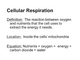 Cellular Respiration Definition The Reaction Between Oxygen And Nutrients That The Cell Uses To Extract The Energy It Needs Location Inside The Ppt Download