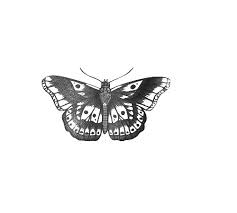 Black And White Harry Styles Butterfly Tattoo 6 Transparent One Direction Tumblr Harry Styles Butterfly One Direction Tattoos Harry Styles