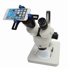 エルミタージュ秋葉原