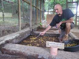 Because the bugs are attracted to decomposing fruit and vegetables, the browns help the material in your compost to dry out, discouraging the swarm. The Black Soldier Fly Kalawili S Efforts In Recognizing Flies As Ecological Heroes Estelnido