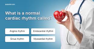 Read on for some hilarious trivia questions that will make your brain and your funny bone work overtime. What Is A Normal Cardiac Rhythm Called Trivia Questions Quizzclub