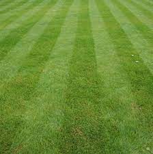 The ideal time to fertilize your lawn is in the fall while grass is growing and storing nutrients. Aw Lawn Care Service Llc Home Facebook