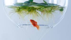 How to draw 3d shapes. Waterscape A Series Of Minimalist Aquarium Designs Made Using 3d Printed Objects 3dprint Com The Voice Of 3d Printing Additive Manufacturing