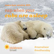  A Little Mamabearwisdom Nap When Your Cubs Are Asleep Happy Mamabear Mothersday Watch Our Video Tribute Share With The Mamas In You Mama Bear Bear Mama