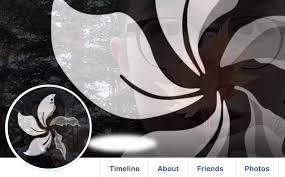 Maybe you would like to learn more about one of these? Netizens Change Their Facebook Profile Pictures To Signify The Death Of Democracy Dimsum Daily