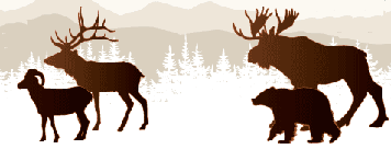 Comparatives and superlatives complete the sentences below. Rocky Mountain Mammal Size Comparisons Mary Donahue