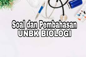Soal teori kejuruan ( stk ) keperawatan un/unbk smk 2018 soal teori kejuruan. Download Soal Dan Pembahasan Unbk Biologi 2018 Pdf Doc