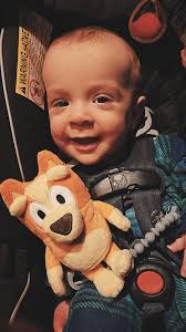 what is the unknown bluey fact?