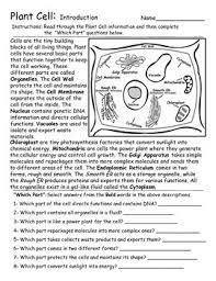 Structures found in plant cells but not animal cells include a large central vacuole , cell wall , and plastids such as chloroplasts. Plant Cells Introduction And Diagram Activities By Geo Earth Sciences