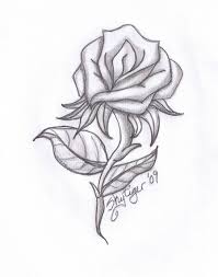 Rose Pencil Drawing By Skytiger On Deviantart Roses Drawing Rose Sketch Rose Drawing 140 pencil drawing flower products are offered for sale by suppliers on alibaba.com. roses drawing rose sketch