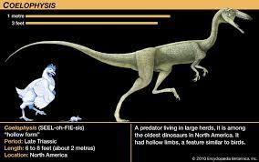 The definition of mob mentality, they are known for grouping up into the largest social hunting mobs of any creature on the ark network. Coelophysis Dinosaur Genus Britannica