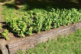Check spelling or type a new query. Build A Raised Garden Bed Australian Handyman Magazine
