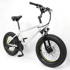 Check spelling or type a new query. 20 Inch Best Fat Tire Electric Bike Ebike Shuangye